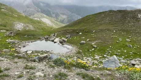 De ce Munții Alpi sunt mult mai spectaculoși decât Munții Carpați? De ce în Alpi nu sunt urși?