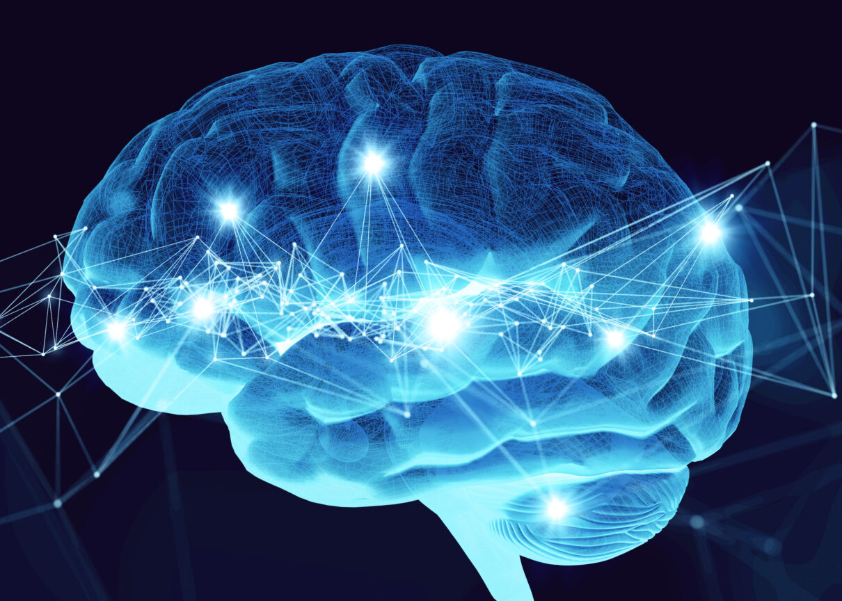 Cum funcționează creierul uman?