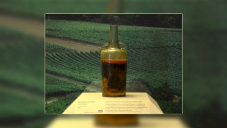 Care este cea mai veche sticlă de vin din lume? Trebuie sau nu deschisă?