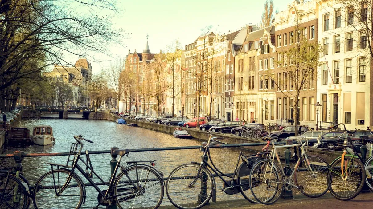 De ce în Olanda bicicleta este mai folosită decât mașina?