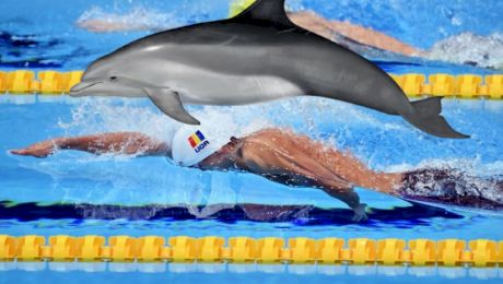 David Popovici sau delfinul? Care este mai rapid pe distanța de 100 de metri?
