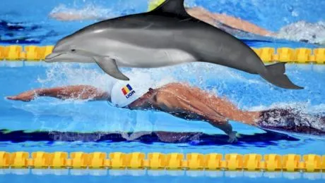 David Popovici sau delfinul? Care este mai rapid pe distanța de 100 de metri?