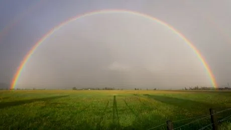 Câte culori are curcubeul? Care sunt culorile curcubeului?