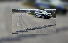 Este Poliția Română dotată cu țepi pentru roți?