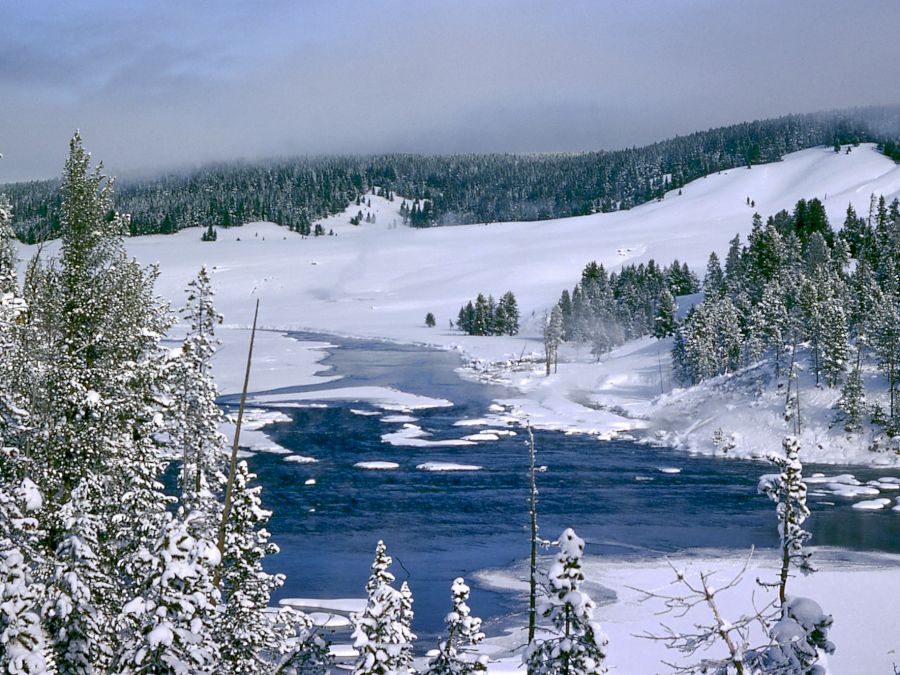 Parcul National Yellowstone c