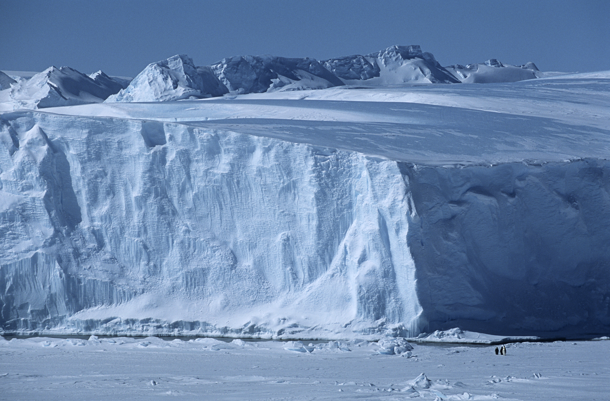 Antarctica