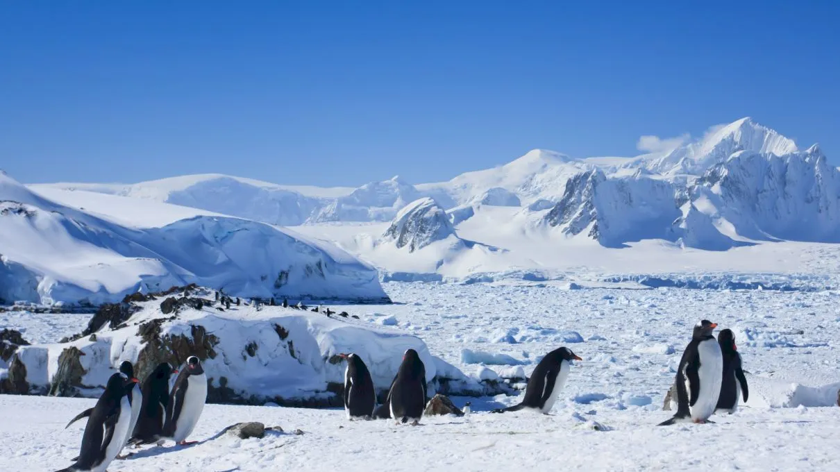 Câte puncte cardinale are Antarctica?