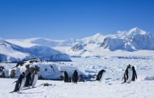 Câte puncte cardinale are Antarctica?