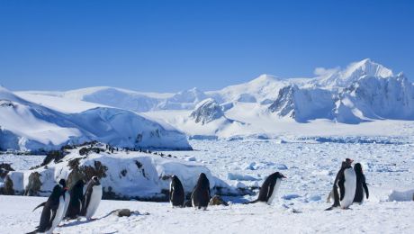 Câte puncte cardinale are Antarctica?