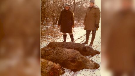 Povestea animalului din România care a fost adus, în țară, la ordinul lui Ceaușescu