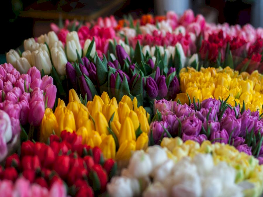 buchet de flori