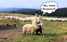 Ce înseamnă tulai din expresia “tulai, Doamne”?