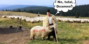 Ce înseamnă tulai din expresia “tulai, Doamne”?
