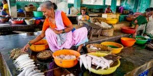 Delirul enclavelor din India și Bangladesh: O anomalie geografică și o tragedie umană