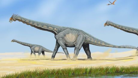 De ce au plecat dinozaurii din America de Sud în Australia?