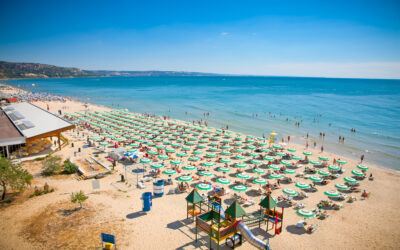 mare