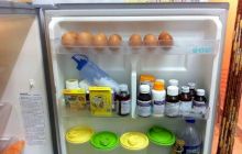 De ce țin unii oameni medicamentele în frigider?