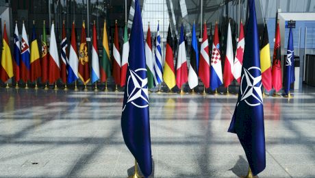 Cine a înființat NATO?