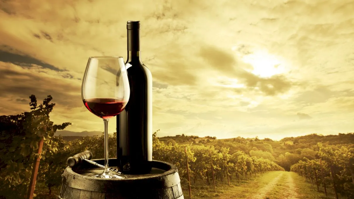 Cât de sănătos este vinul pentru organismul uman?
