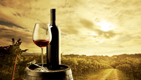 Cât de sănătos este vinul pentru organismul uman?