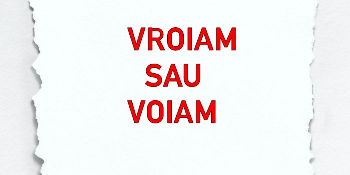 Vroiam sau voiam? Cum e corect în limba română: voiam sau vroiam?