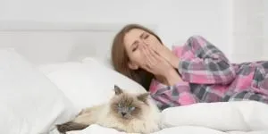 De ce unii oameni sunt alergici la pisici?