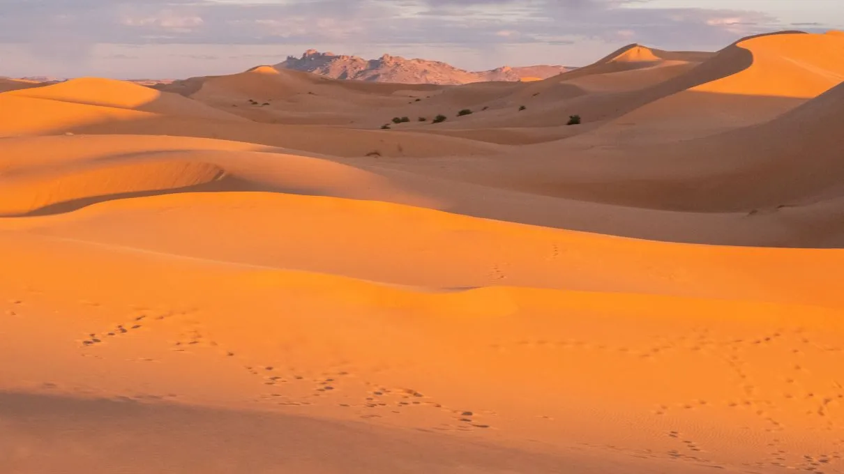 Când a devenit Sahara deșert?