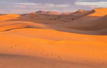 Când a devenit Sahara deșert?