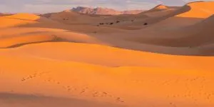 Când a devenit Sahara deșert?