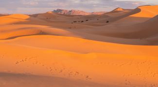 Când a devenit Sahara deșert?