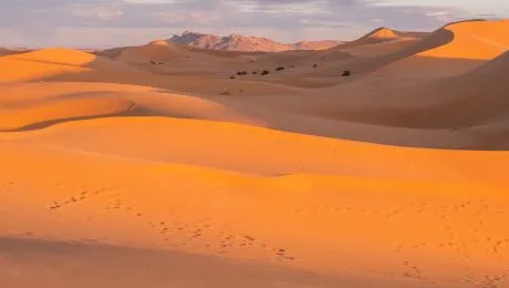 Când a devenit Sahara deșert?