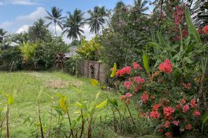 Pro și contra vacanță în Bali. GloBALIzarea, neînțeleasă la capătul lumii sau Bali nu e un loc, e o simțire