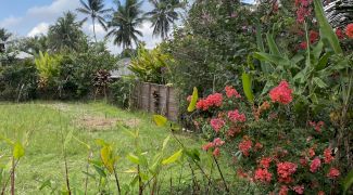 Pro și contra vacanță în Bali. GloBALIzarea,neînțeleasă la capătul lumii sau Bali nu e un loc, e o simțire