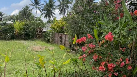 Pro și contra vacanță în Bali. GloBALIzarea, neînțeleasă la capătul lumii sau Bali nu e un loc, e o simțire