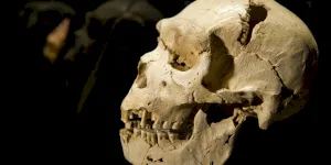 Omenirea a fost aproape de o extincție. Doar 1.280 de oameni au supraviețuit