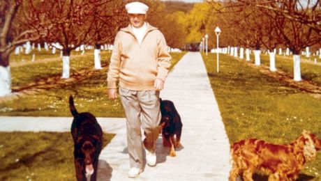Ce s-a întâmplat cu câinii lui Ceaușescu după moartea dictatorului?