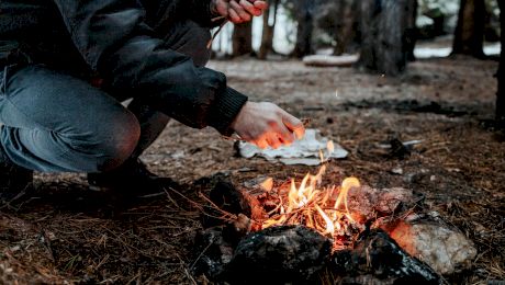 Fii ca Bear Grylls! Care sunt cele mai importante tehnici de supraviețuire în pădure?