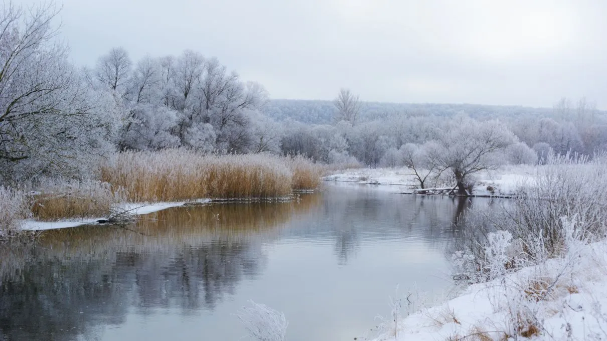 Cum ar trebui sa fie vremea în luna Decembrie?