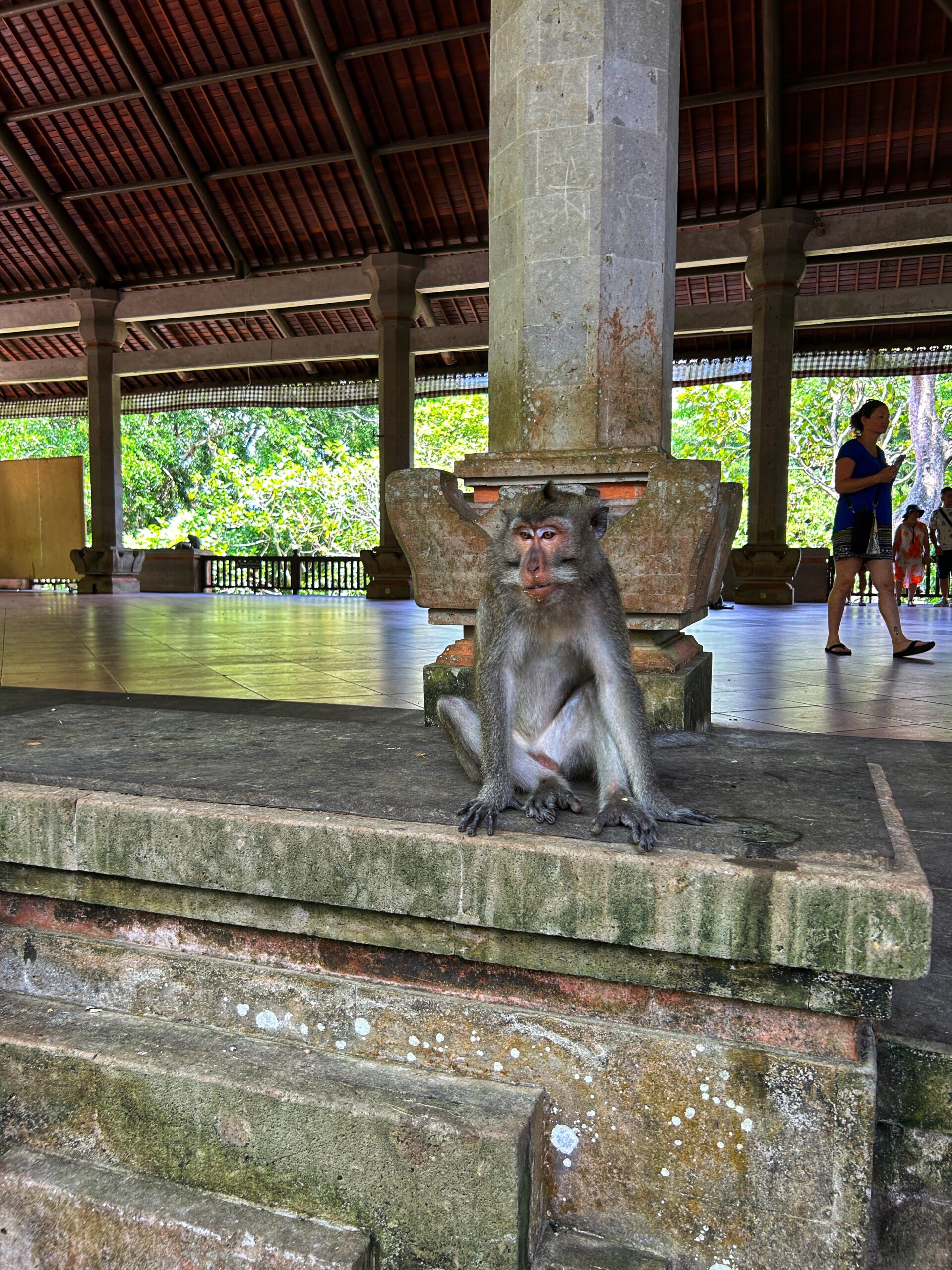 Bali