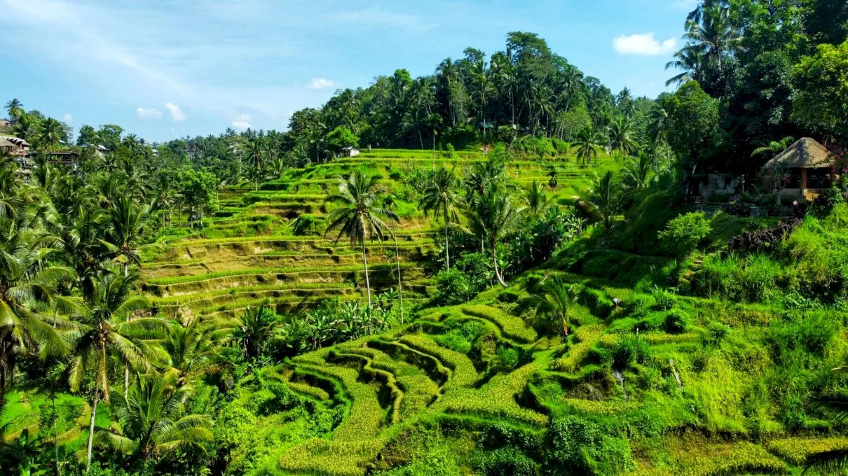 10 sfaturi pentru o vacanță de vis în Bali. Ce să nu faci niciodată în Bali?