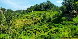 10 sfaturi pentru o vacanță de vis în Bali. Ce să nu faci niciodată în Bali?