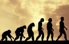 Dacă oamenii au evoluat din maimuțe, de ce maimuțele încă există?