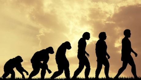 Dacă oamenii au evoluat din maimuțe, de ce maimuțele încă există?