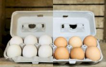 Care este diferența dintre ouăle de găină și ouăle de rață?