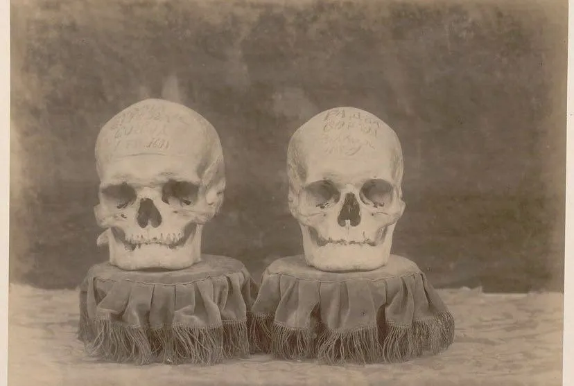 Craniile lui Mihai Viteazul și Radu cel Mare, fotografiate în 1893. Cum „s-a plimbat” craniul lui Mihai Viteazul prin… Rusia?