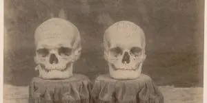Craniile lui Mihai Viteazul și Radu cel Mare, fotografiate în 1893. Cum „s-a plimbat” craniul lui Mihai Viteazul prin… Rusia?
