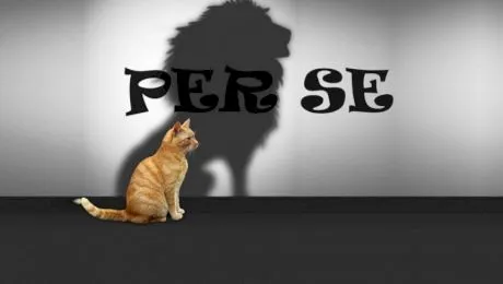 Per se. Ce înseamnă, de fapt, „per se”?