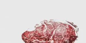 Top 10 cele mai consumate animale din lume. O pasăre ciudată a prins poziția a 9-a!