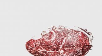 Top 10 cele mai consumate animale din lume. O pasăre ciudată a prins poziția a 9-a!