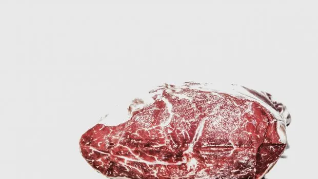 Top 10 cele mai consumate animale din lume. O pasăre ciudată a prins poziția a 9-a!